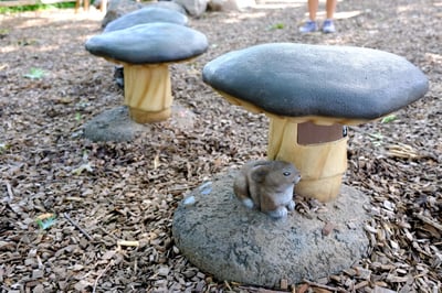 Fridley-Springbrook Nature Center